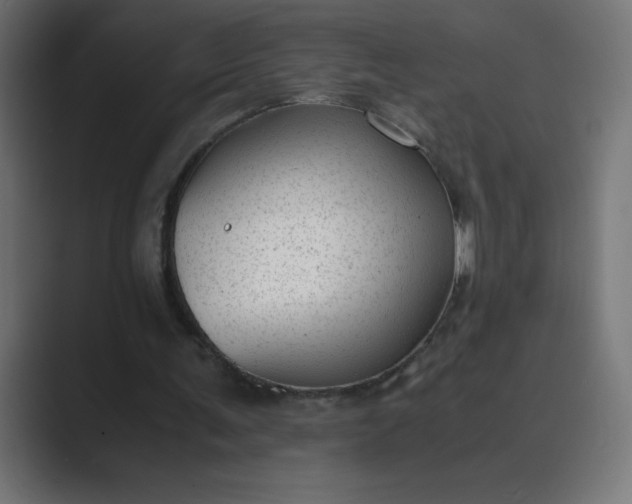 X0000089450291200706291448