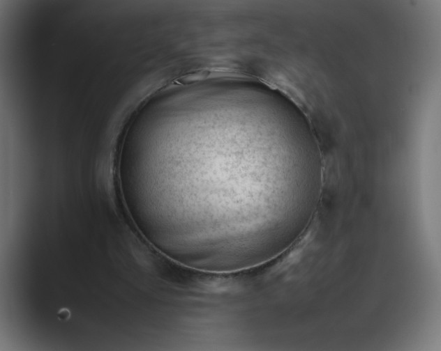 X0000089450293200706291448