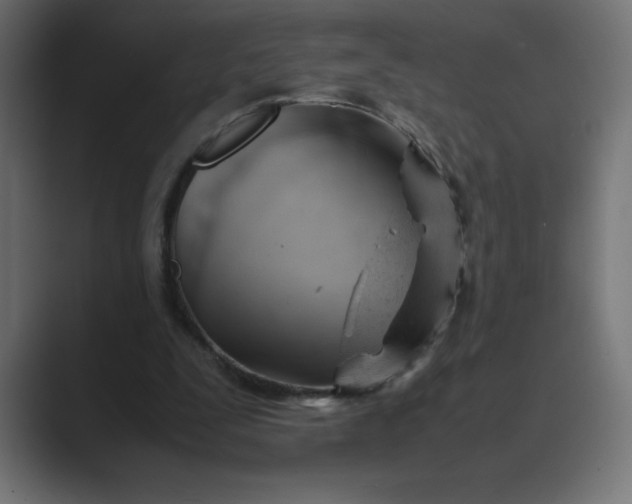 X0000089450295200706291448