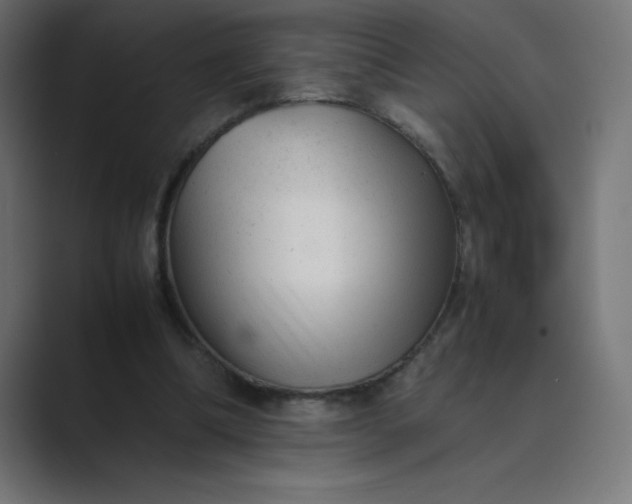 X0000089450298200706291448