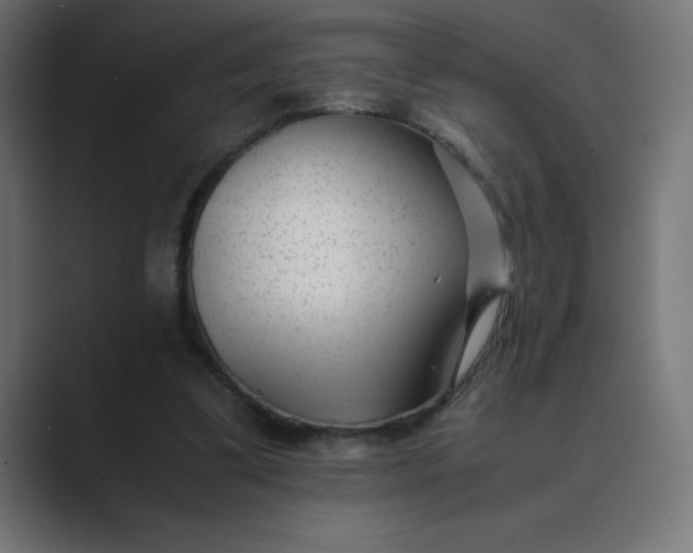 X0000089450299200706291448