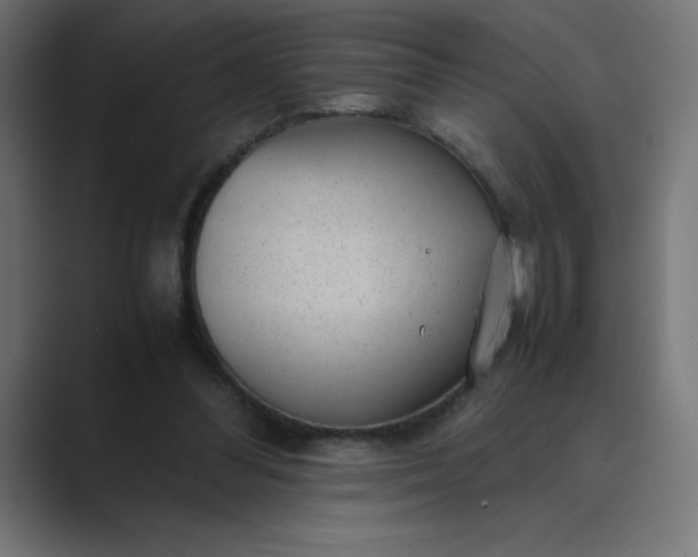 X0000089450300200706291448