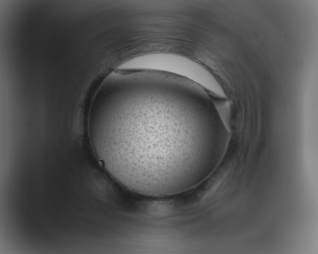 X0000089450303200706291448