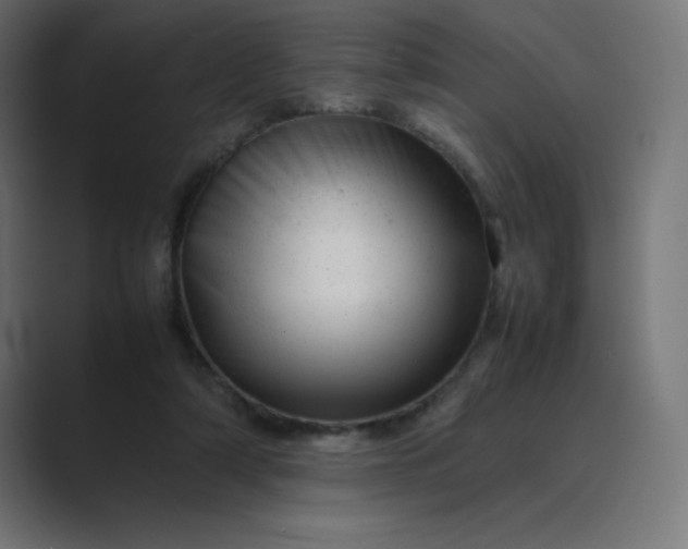 X0000089450306200706291448