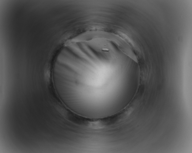 X0000089450309200706291448