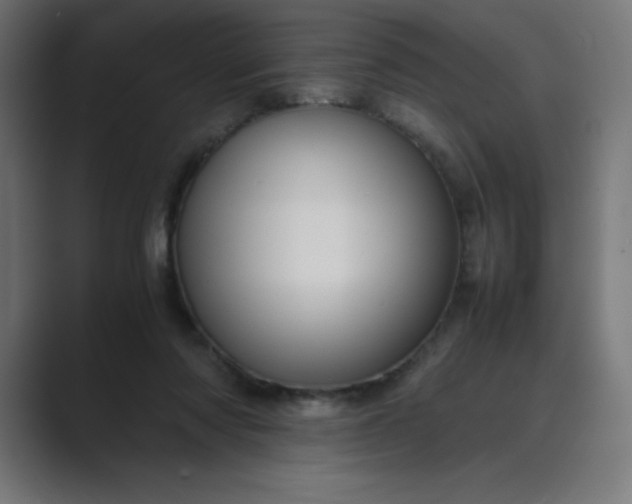 X0000089450310200706291448