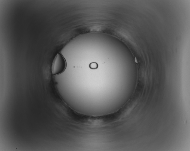 X0000089450311200706291448