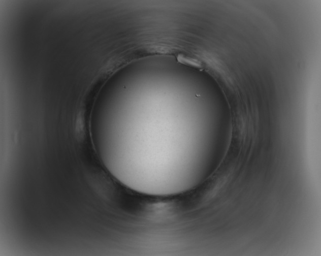 X0000089450312200706291448