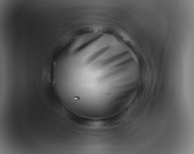 X0000089450313200706291448