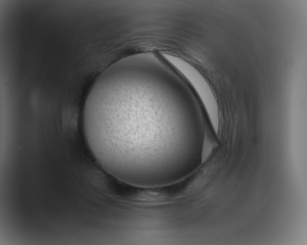 X0000089450315200706291448