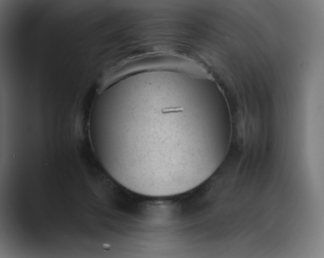X0000089450316200706291448