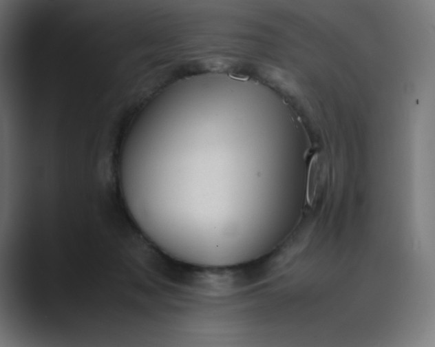 X0000089450317200706291448