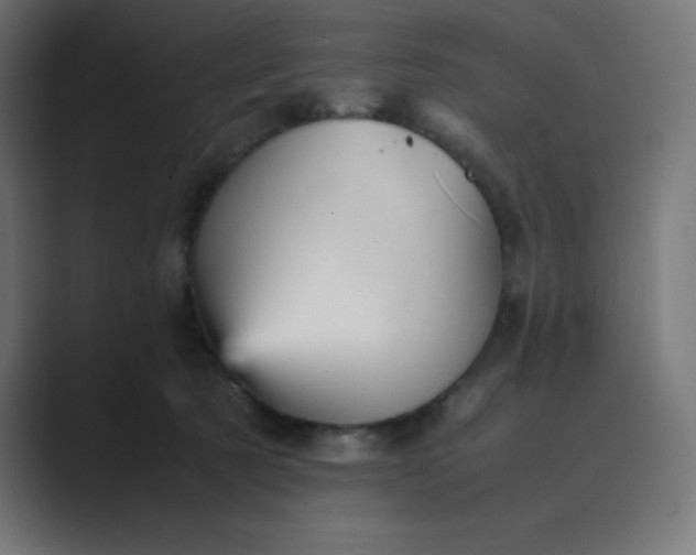 X0000089450321200706291448