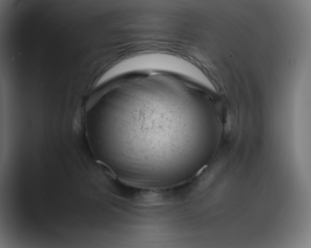 X0000089450325200706291448