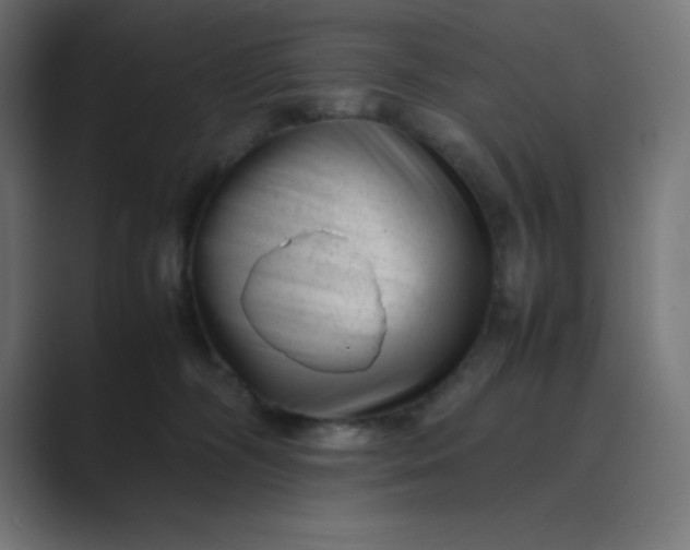 X0000089450326200706291448