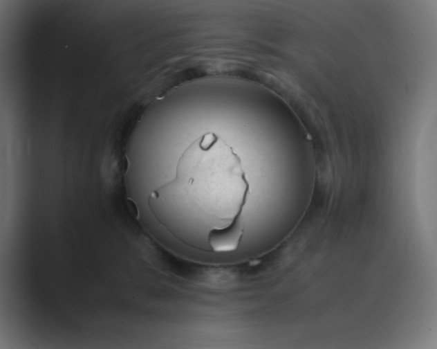 X0000089450327200706291448