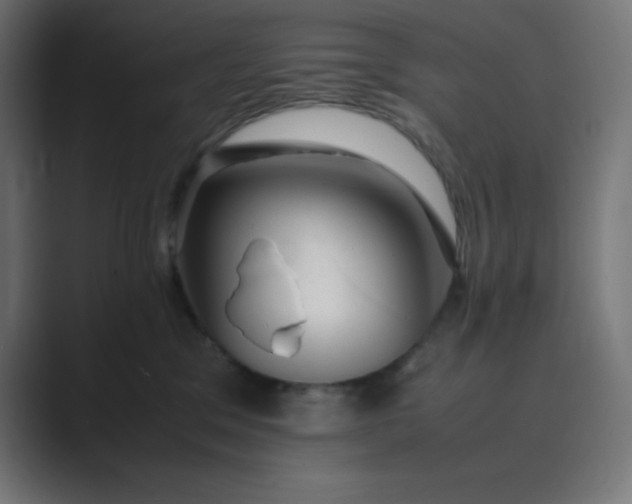 X0000089450329200706291448