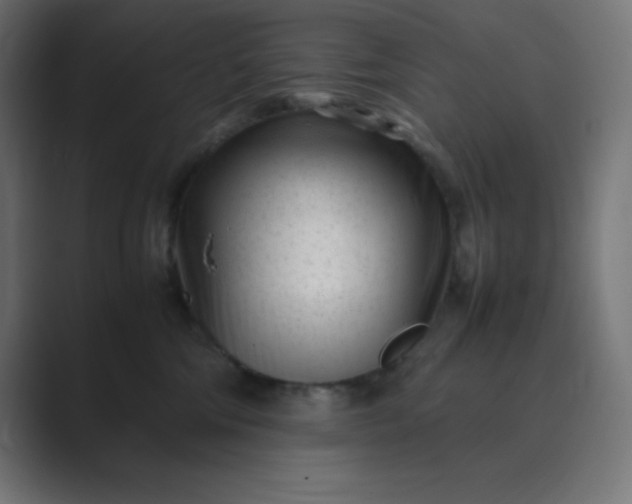 X0000089450330200706291448