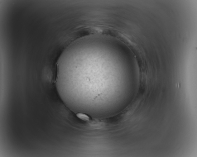 X0000089450331200706291448