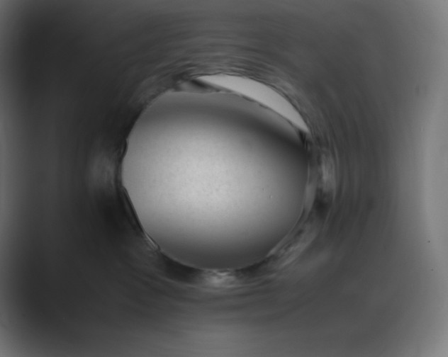 X0000089450333200706291448