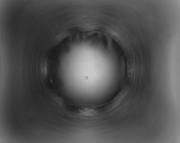 X0000089450334200706291448