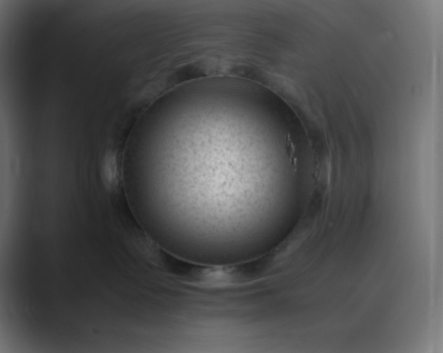 X0000089450335200706291448