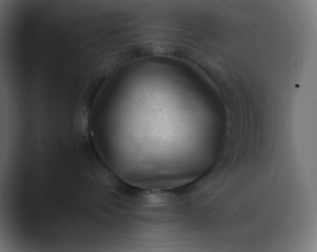 X0000089450336200706291448