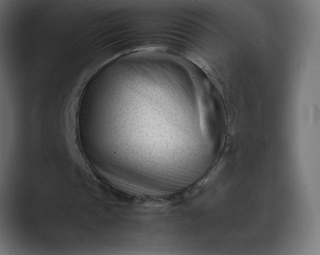X0000089450337200706291447
