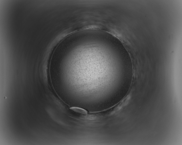 X0000089450341200706291447
