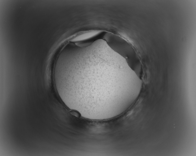 X0000089450343200706291447