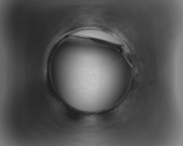 X0000089450344200706291447
