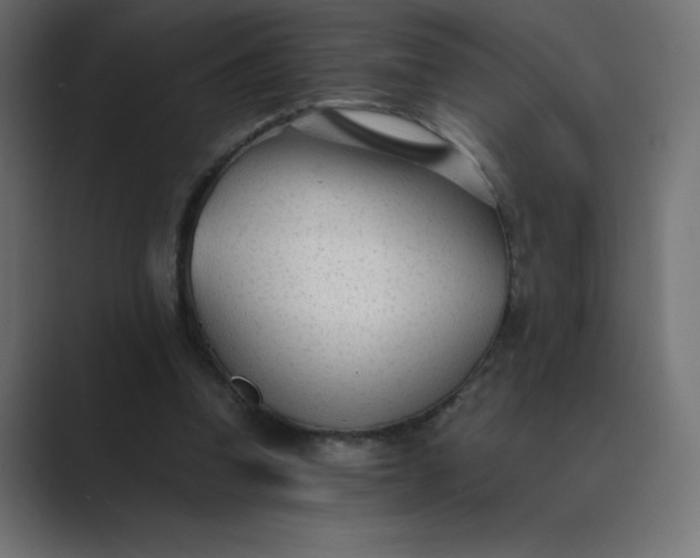 X0000089450346200706291447