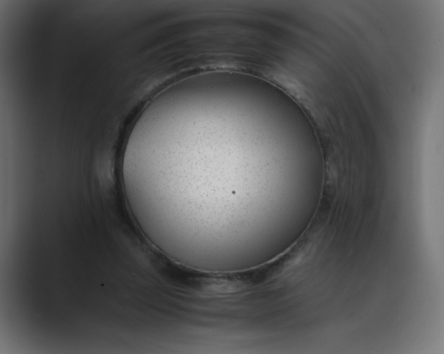 X0000089450347200706291447