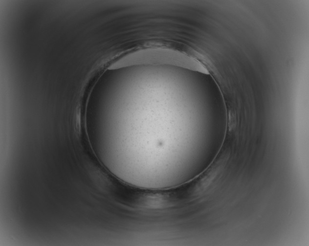 X0000089450349200706291447