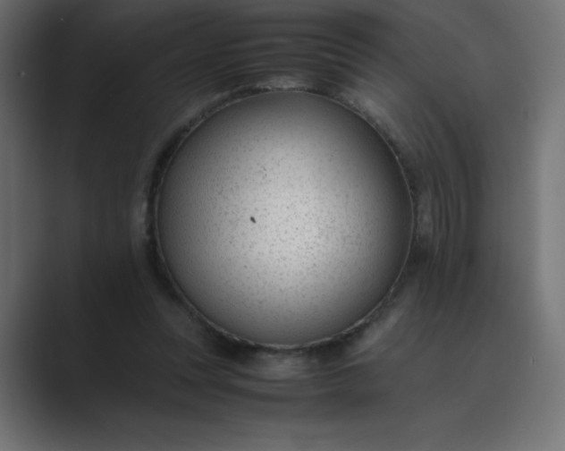 X0000089450351200706291447