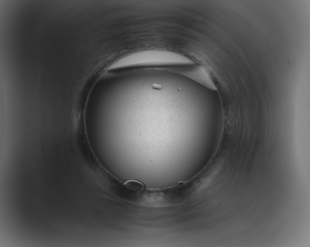 X0000089450355200706291447