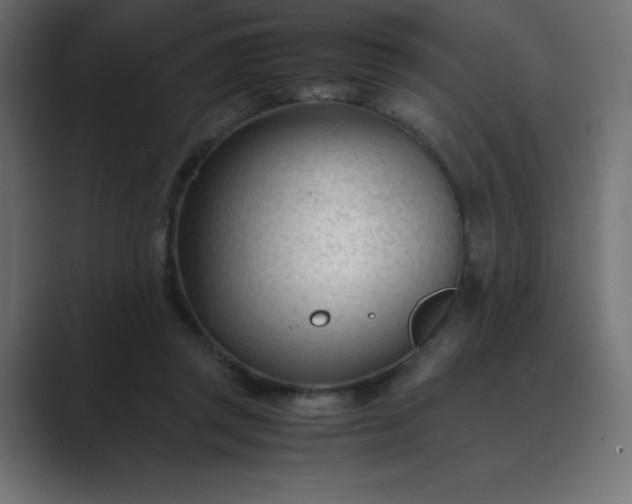 X0000089450357200706291447