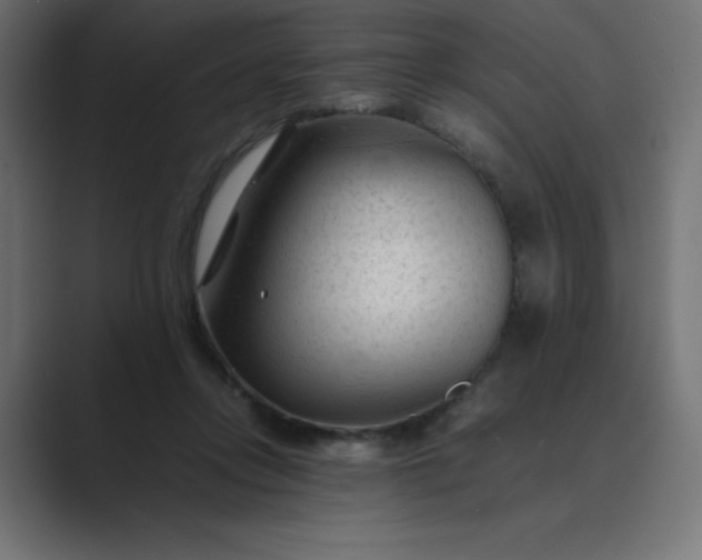 X0000089450358200706291447