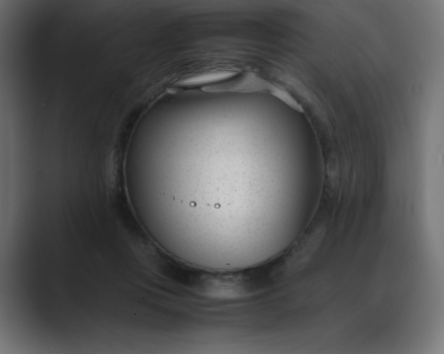 X0000089450359200706291447