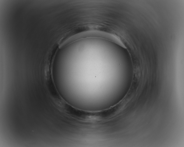 X0000089450360200706291447