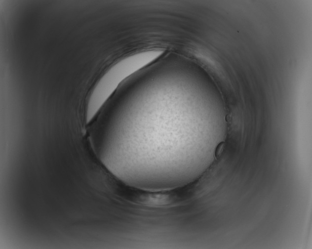X0000089450361200706291447