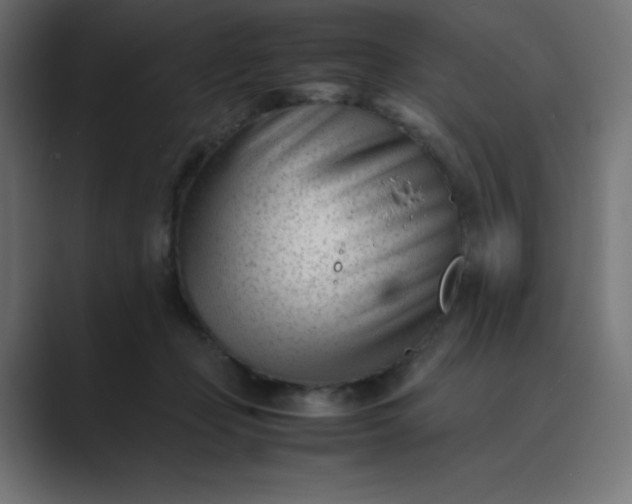 X0000089450365200706291447