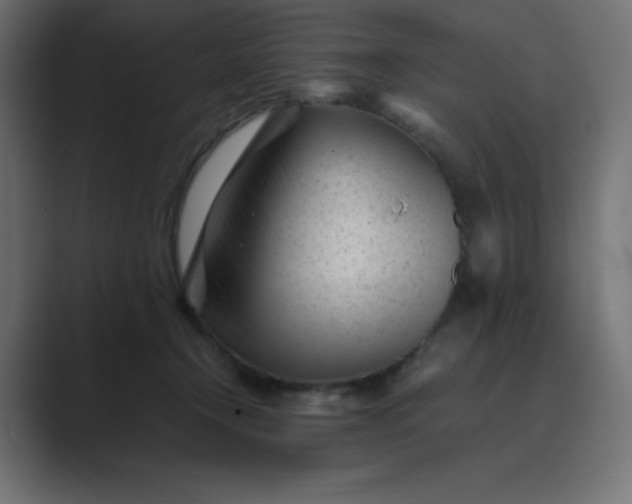 X0000089450366200706291447