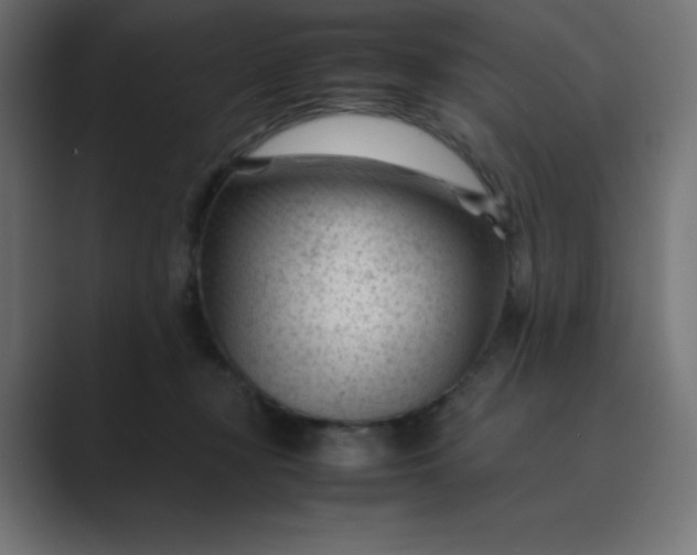 X0000089450367200706291447