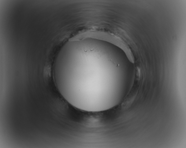 X0000089450368200706291447