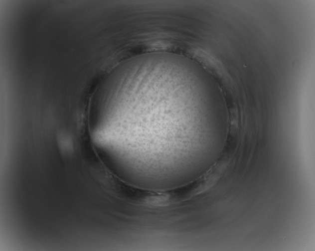 X0000089450369200706291447