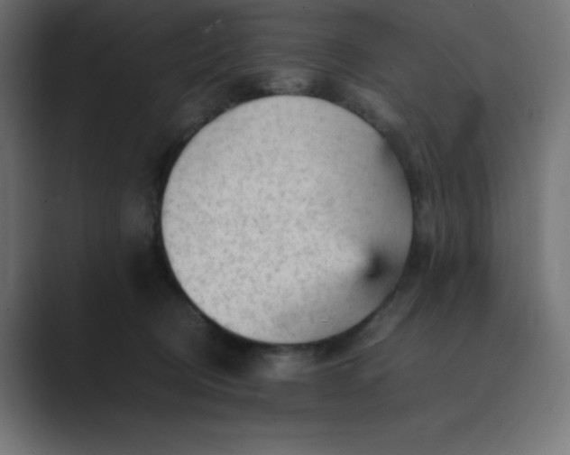 X0000089450370200706291447
