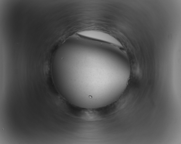 X0000089450372200706291447