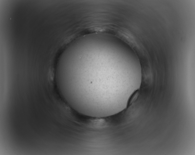 X0000089450374200706291447