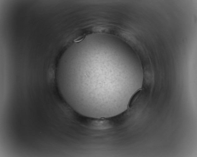 X0000089450375200706291447